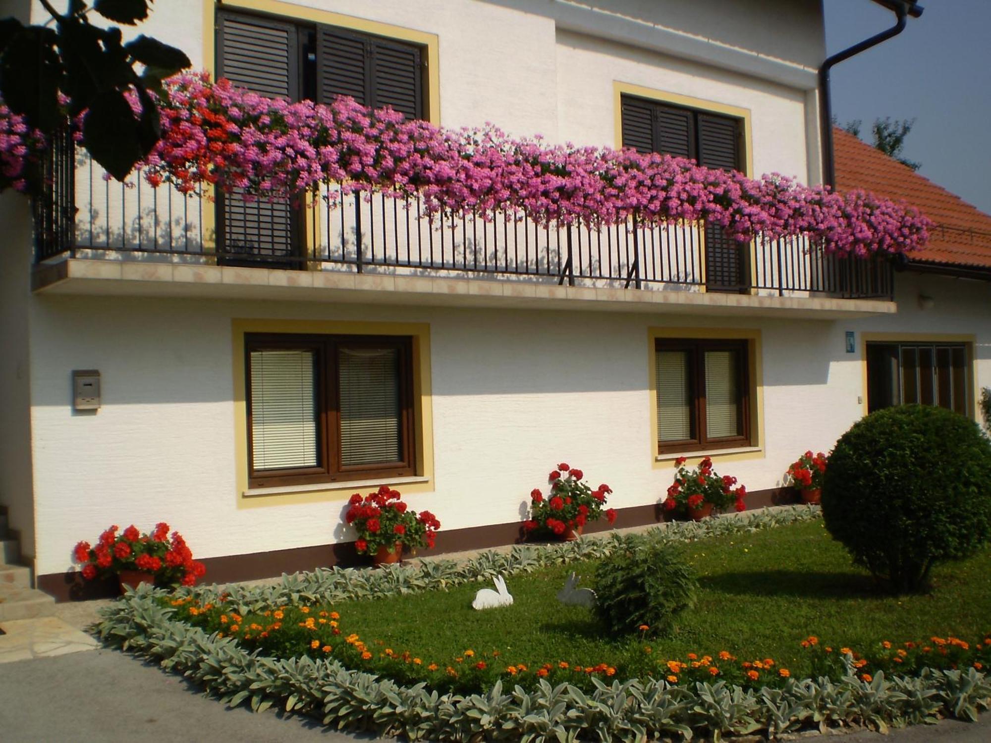 House Pavlic Hotel Grabovac  Exterior foto